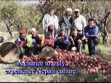 Tourists Rebuild Temple in Nepal