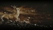 The Deer Hunter - Bluray Menu (1080p)