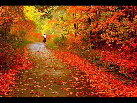 Shina song Tus fuu theetay jo maye khusshi o sang by Talib Hussain Talib, Gilgit Baltistan