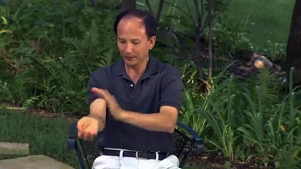 Spring Forest Qigong Demo "How Your Energy System Works"