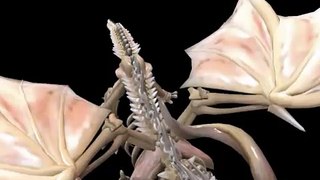 Bone Dragon | Spore HAX!