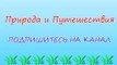 Природа и Путешествия #89 Самые Красивые и уникальные места на планете Земля - ЛУЧШЕЕ