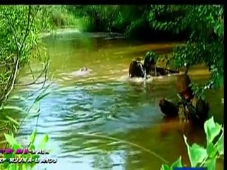 pakistan army songs wajahat ali khan merai watan alam swati.mpg