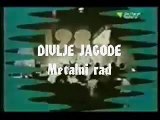 Divlje Jagode(Wild Strawberries) - Metalni Radnici(Metal Workers) 1984 True  Bosnian  Heavy Metal