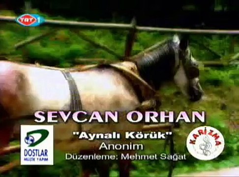 Sevcan Orhan, Aynalı Körük