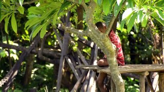 Village Life on Ambrym Island - Vanuatu