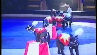 Most unique animal circus act