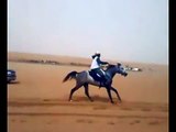 Horse riding in the desert