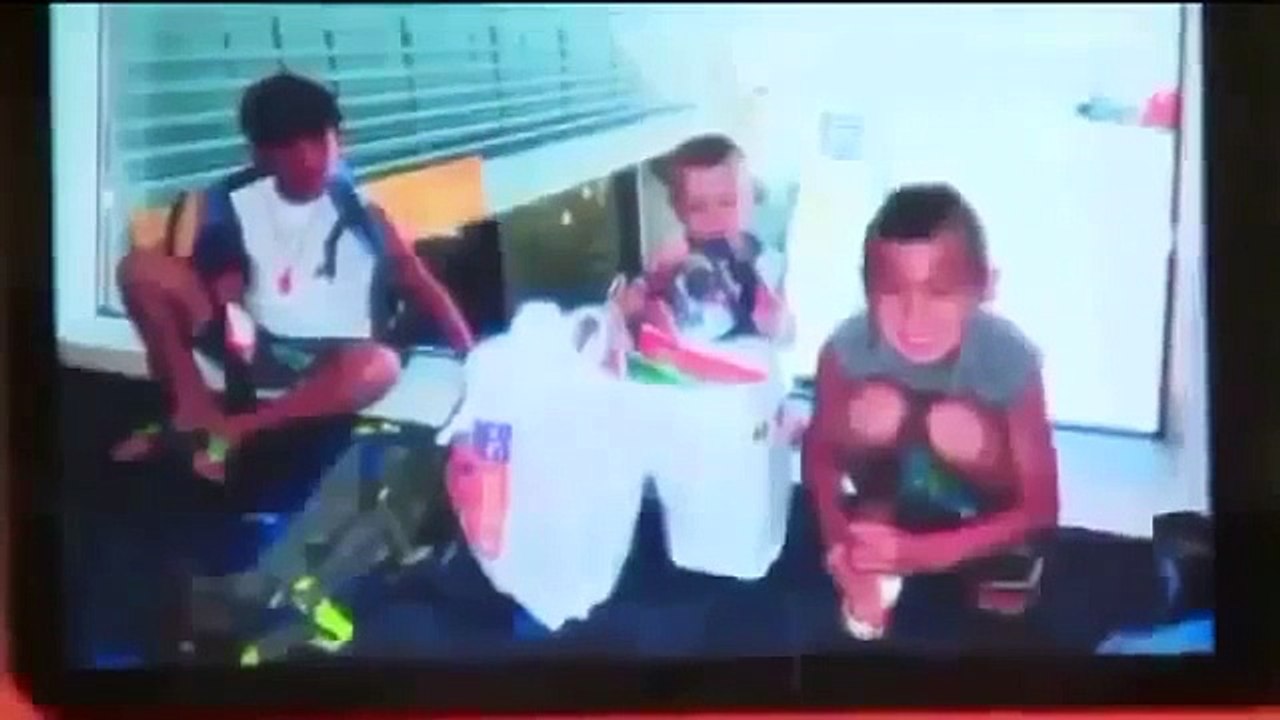 Big Cat Attacks Boy Funny Animal Videos