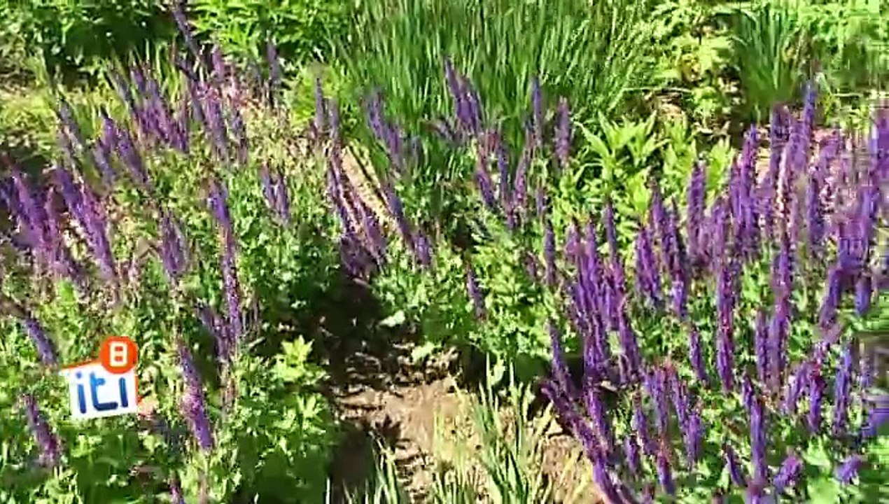 Itinéraires Bretagne : jardin et chapelle du Bois Orcan à Noyal-Sur-Vilaine (35)
