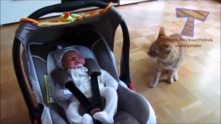 Funny Animals, Cats and dogs react to children, baby with tenderness animals