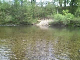 gobage d'ombre guiers