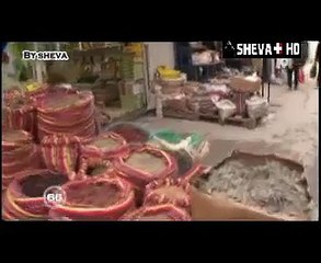 M6 - 66 minutes leila trabelsi la bete noire  des tunisiens