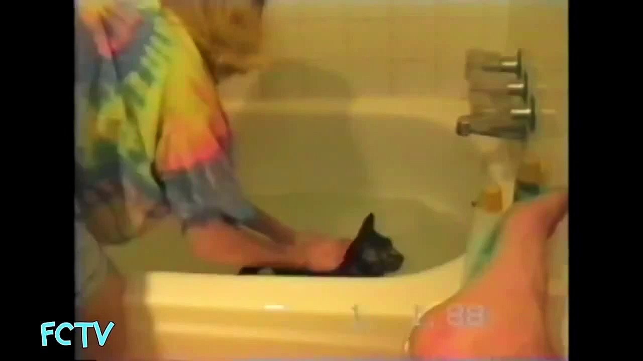 Funniest Cats vs Water Compilation [2014 HD]