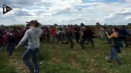 Une journaliste hongroise licenciée après avoir fait un croche-pied à un réfugié