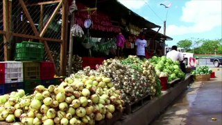 Empresa constructora del canal de Nicaragua demanda toneladas de comida para los trabajadores