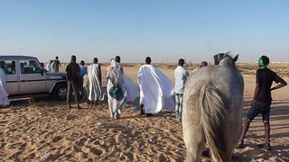 2013 Mauritanie  Nouakchott, Course De Chevaux
