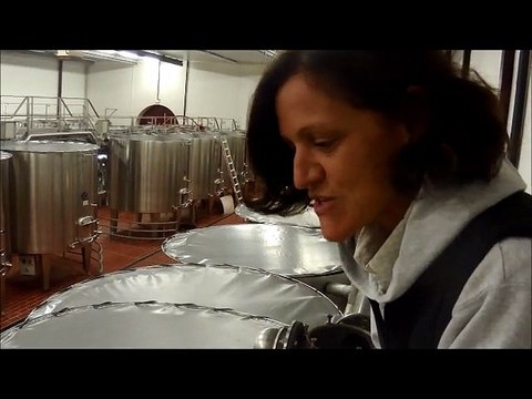 Interview de Ludivine Griveau (Hospices de Beaune) lors de vendanges 2015