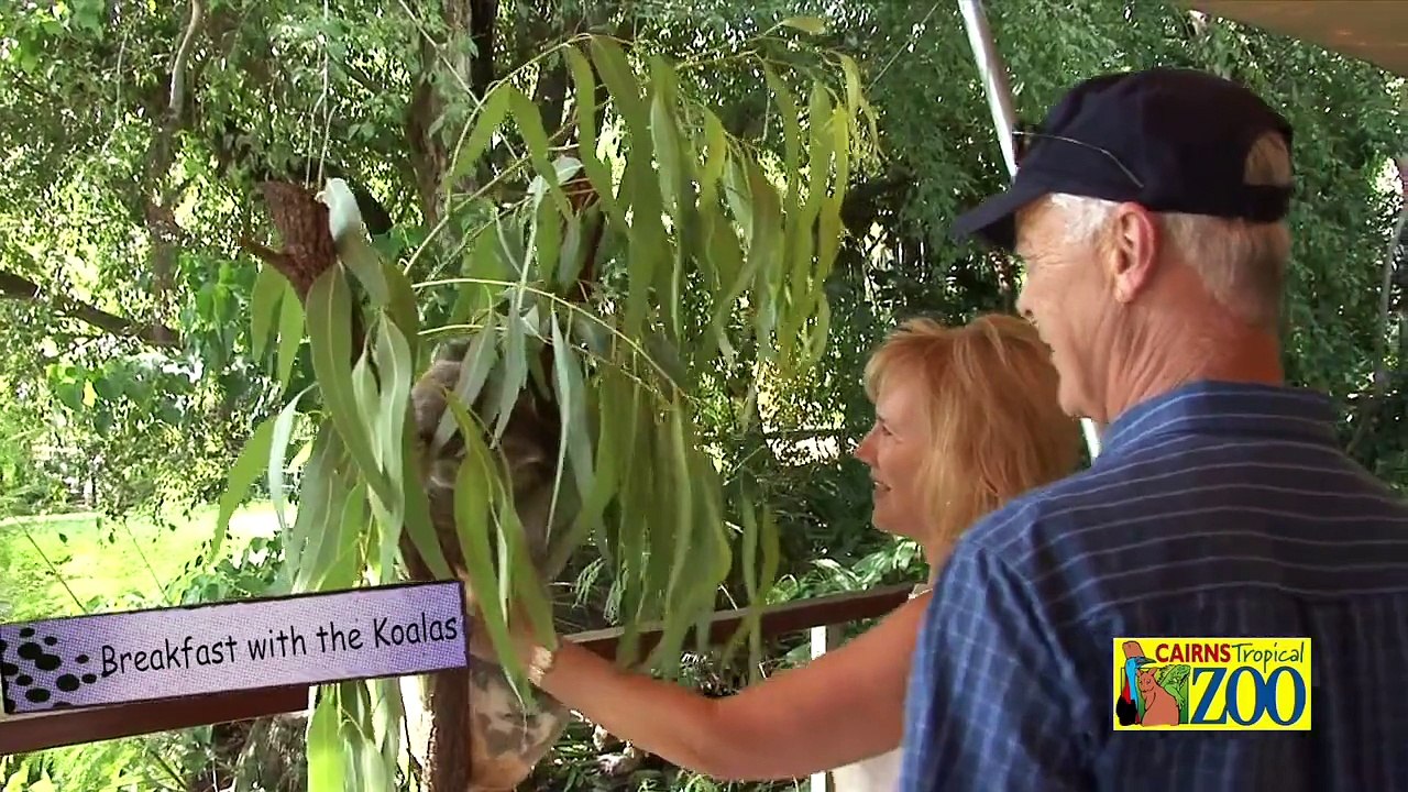 Cairns Tropical Zoo