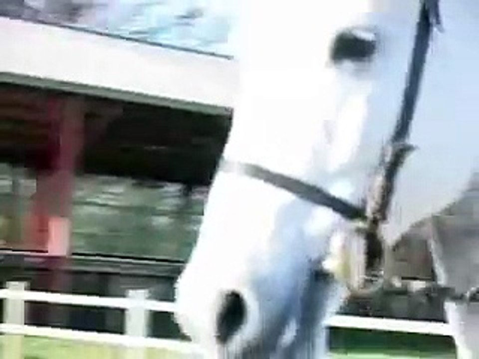 Siglavy de Beaudésert