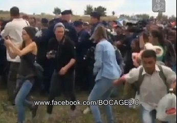 Jornalista bate em refugiados