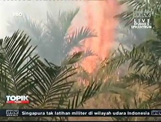 Download Video: Kerugian akibat Kebakaran Hutan di Sumatera Mencapai Rp17 Miliar