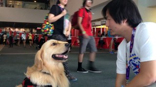 Dog Biscuit Stack trick @Anime Expo 2015