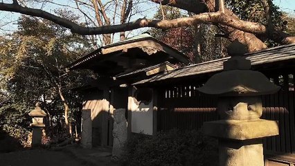 “Minka: My Farmhouse in Japan,” a memoir ,  John Roderick.