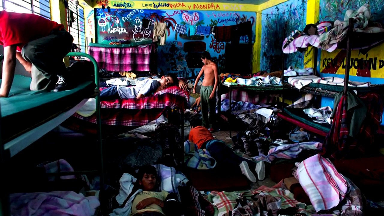 OBSERVATORIO Transgénicos (Desde el Campus)