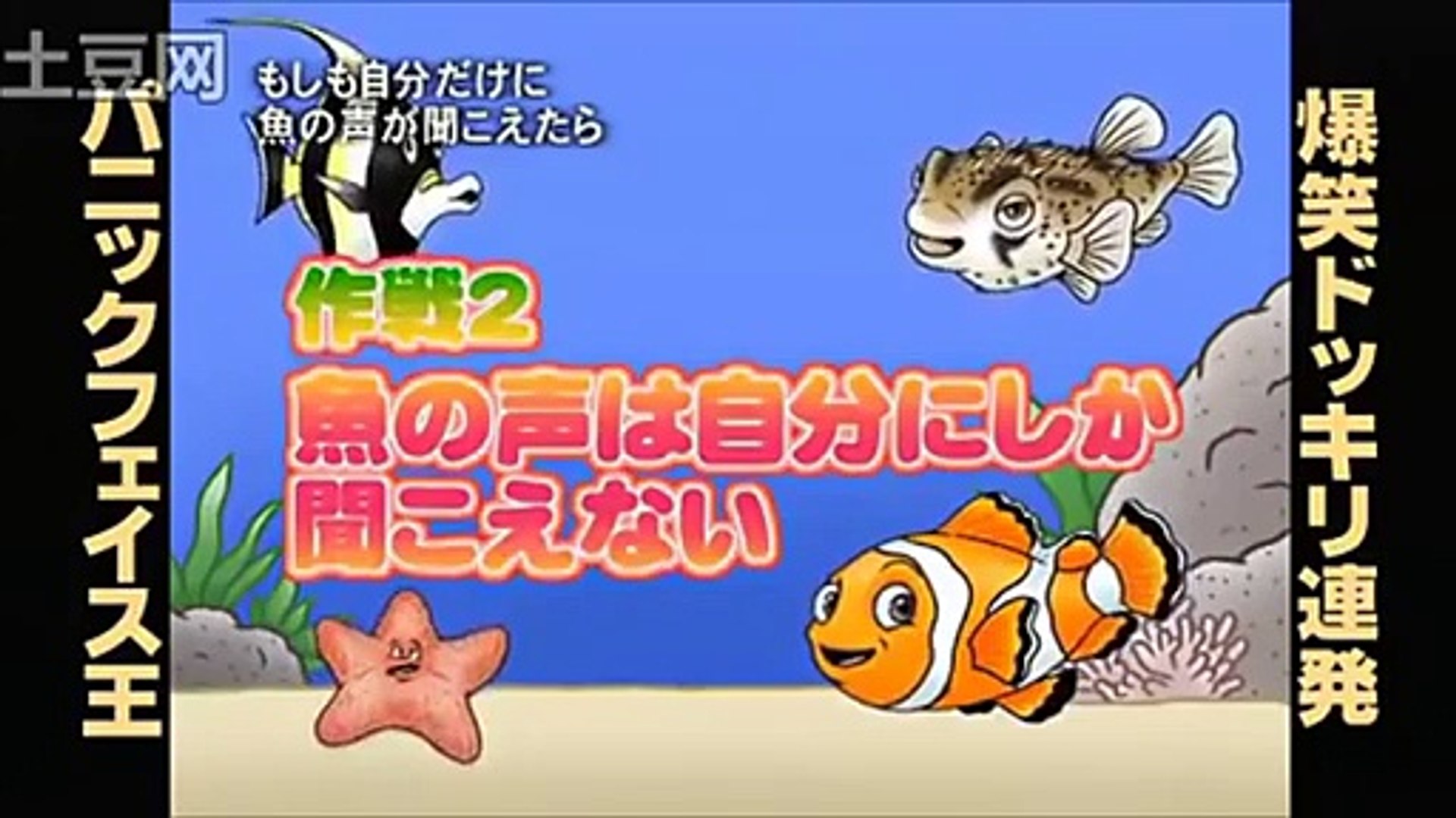 もしも魚の声が自分にだけ聞こえたら さかなクン イタズラ ドッ Dailymotion Video