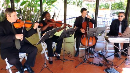 Quebrantado Vineyard  - Música Evangélica Instrumental para Casamento