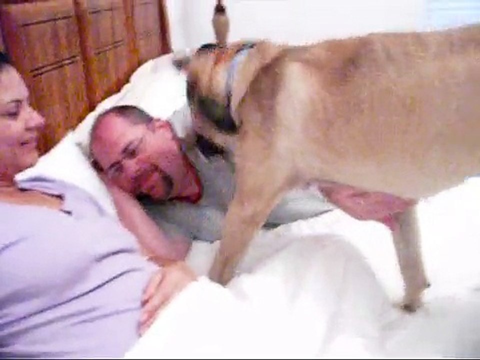 My dog annoying my dad