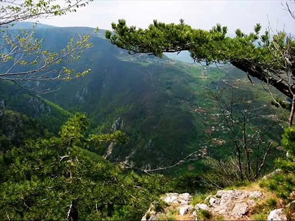 Srbija 2