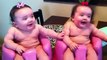 Funny Baby Videos 2015 full lauging and and quote habit of baby | Funniest Baby Videos 2015