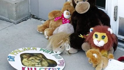 AP Interviews Lion-Hunting Dentist