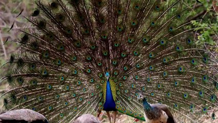 Proven-ways-to-be-more-attractive