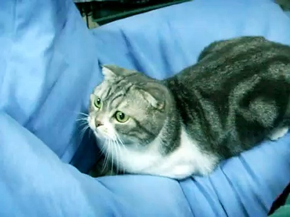 miko瞳孔會放大縮小耶~