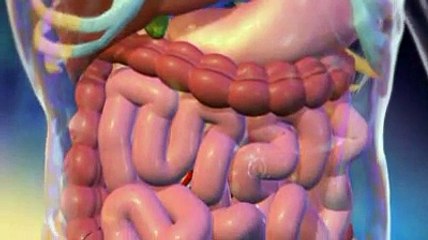 Les vitamines et minéraux expliqués en vidéo, e-sante.fr