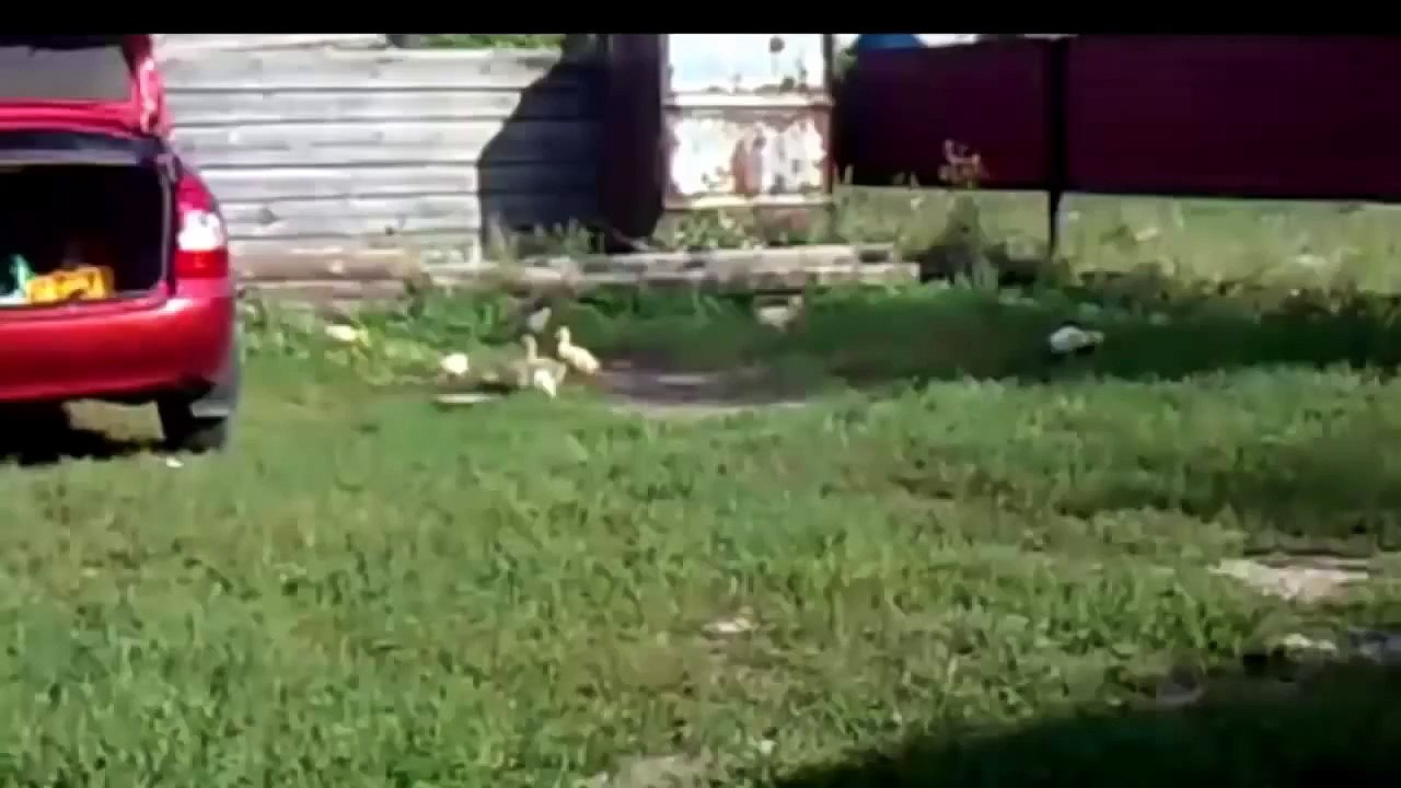 Rusları Seviyoruz Video Derlemesi - Ekim 2014 [HD]