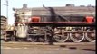 South African Industrial Steam, Tavistock Collieries.