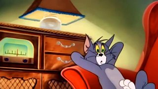 Tom and Jerry Cartoon   Jerry and Lion