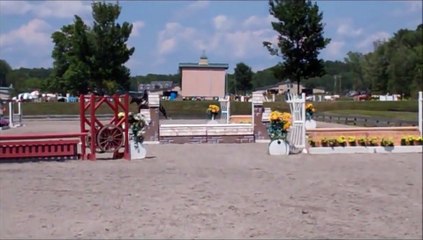 For Sale: Saphira - Gorgeous Recently Imported 3'6"+ Equitation / Hunter Prospect