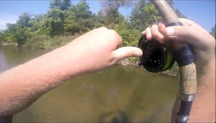 Salmon fishing the Betsie River