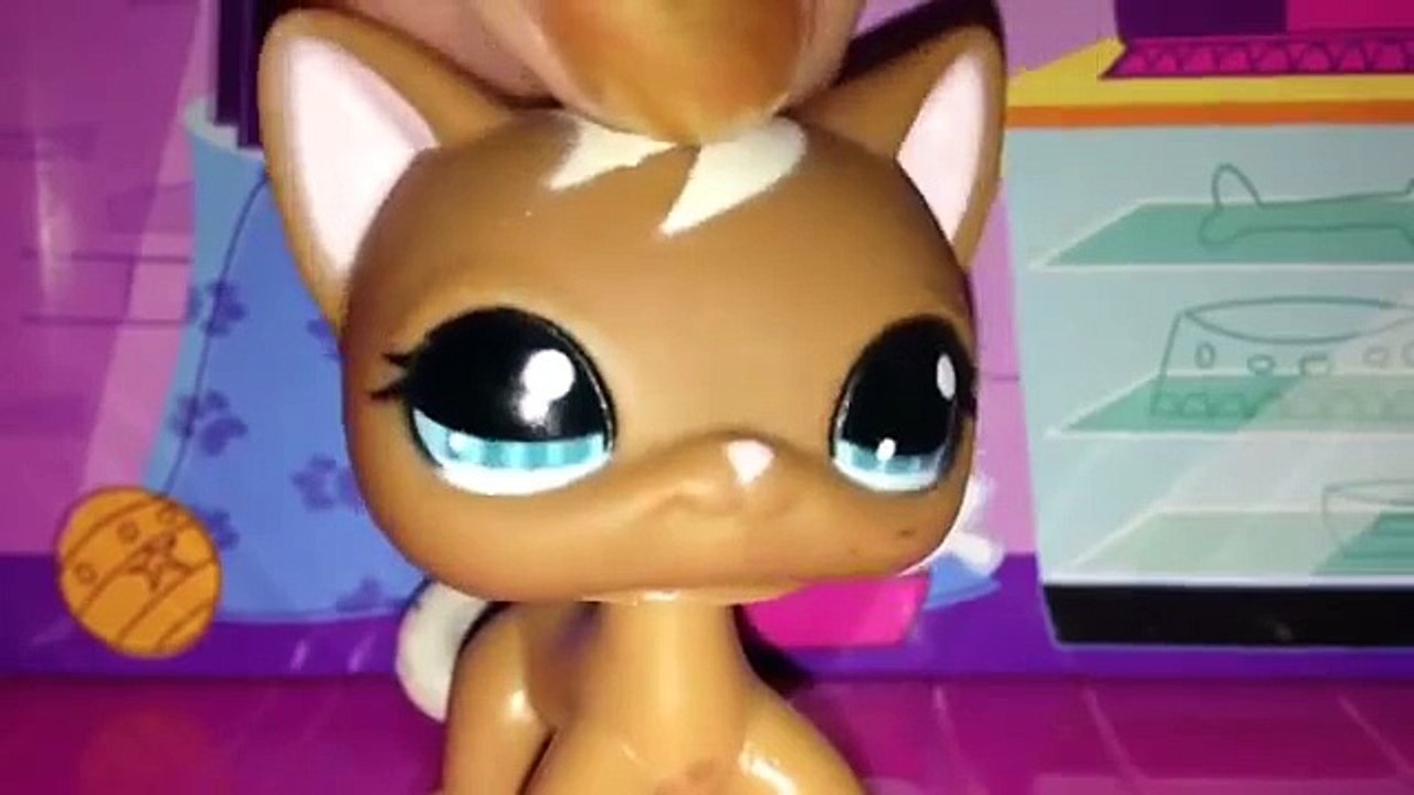 LPS MV (For Cookie swirl C) - video Dailymotion