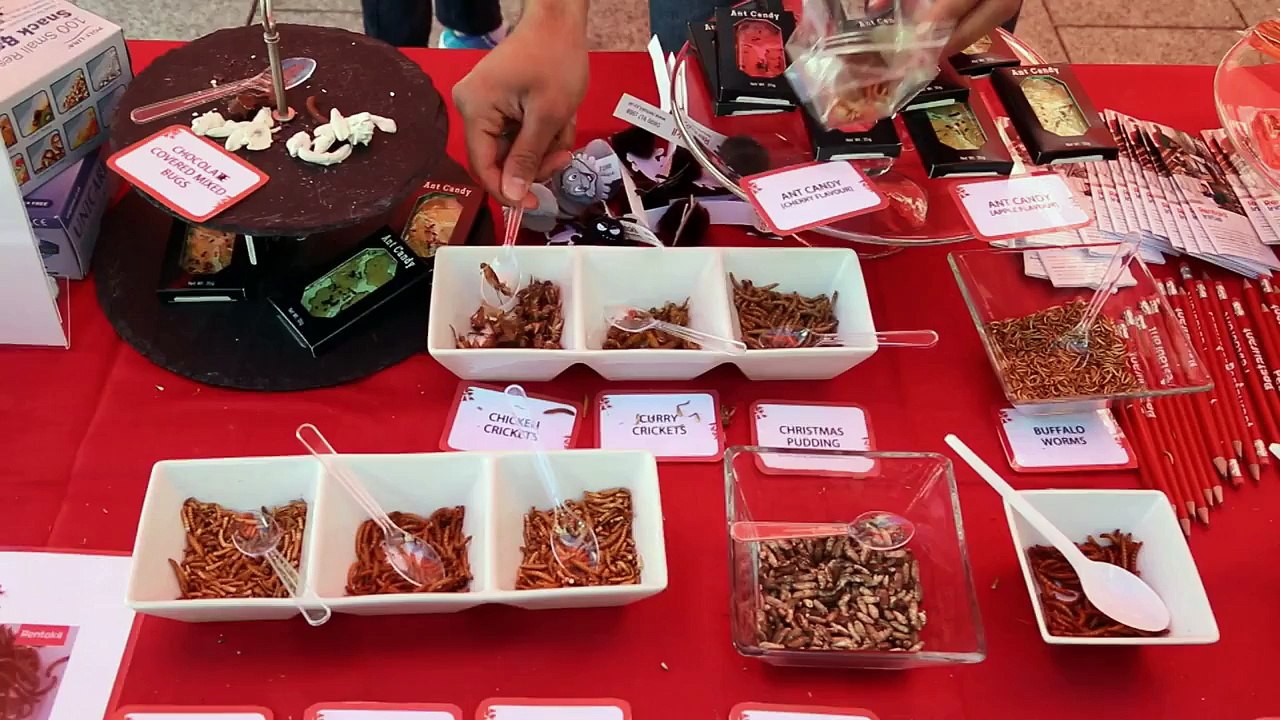 Rentokil Pestaurant Cardiff