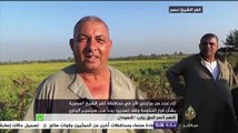 آراء عدد من المزارعين المصريين حول قرار وقف تصدير الأرز