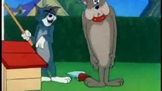 Tom and Jerry   Funny   Moments