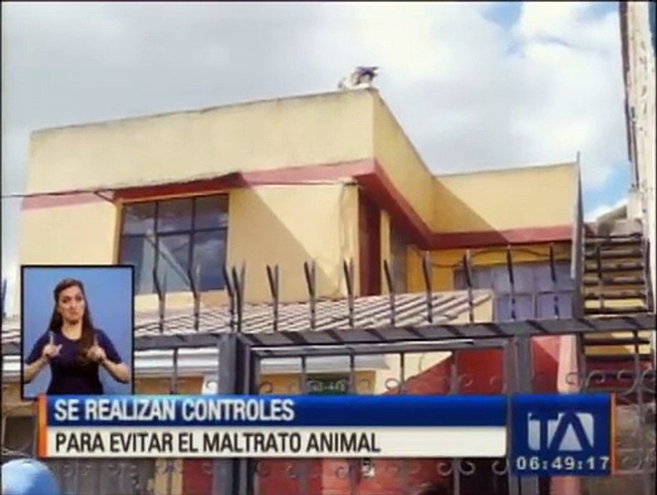 Autoridades realizan controles para evitar el maltrato animal