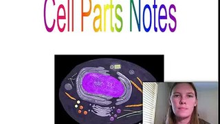 Cell Parts 7 Lecture