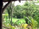 Ecoturismo na Costa Rica